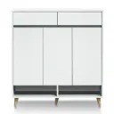 Tủ Giày Cánh Mở Hiện Đại | TG34