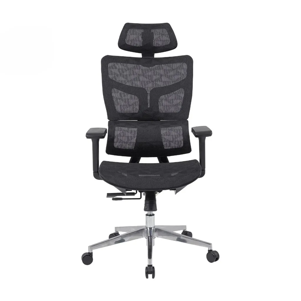 Ghế Công Thái Học The One | GLE11