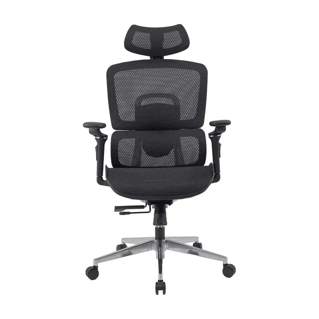 Ghế Công Thái Học The One | GLE12