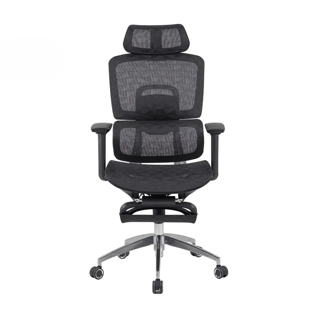 Ghế Công Thái Học The One | GLE13