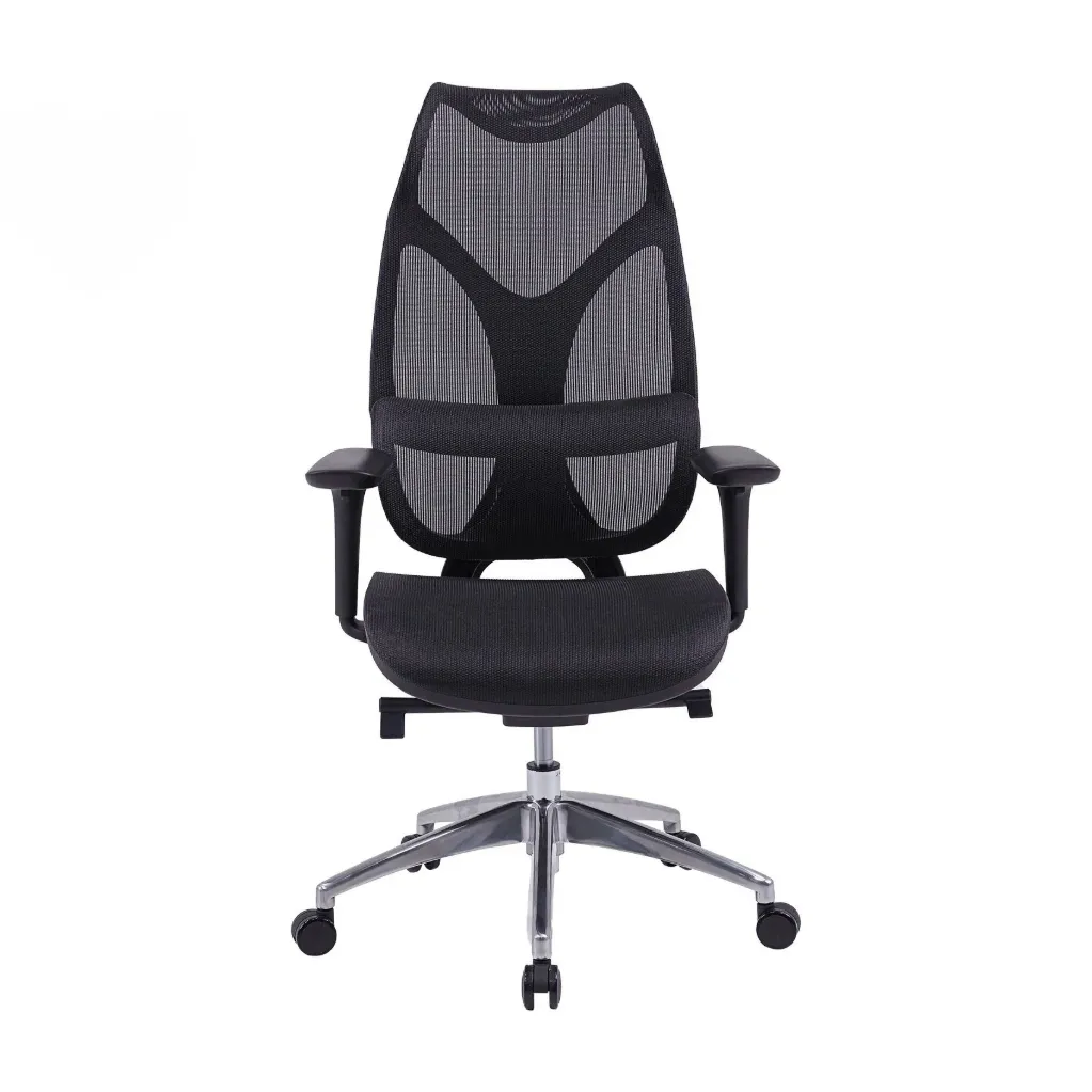 Ghế Công Thái Học The One | GLE14