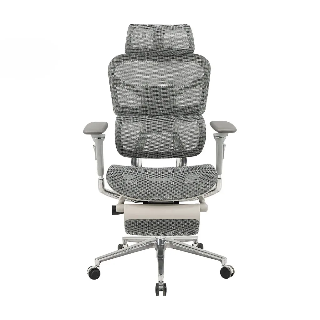 Ghế Công Thái Học The One | GLE17