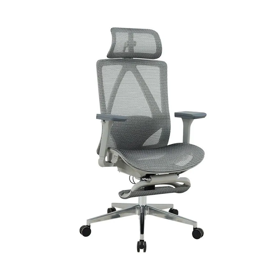 Ghế Công Thái Học The One | GLE23