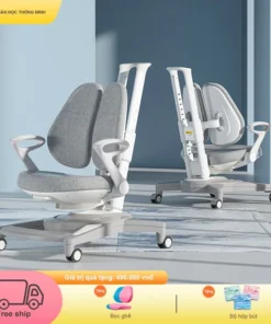 Ghế Chống Gù Lưng BSUC | DRY818